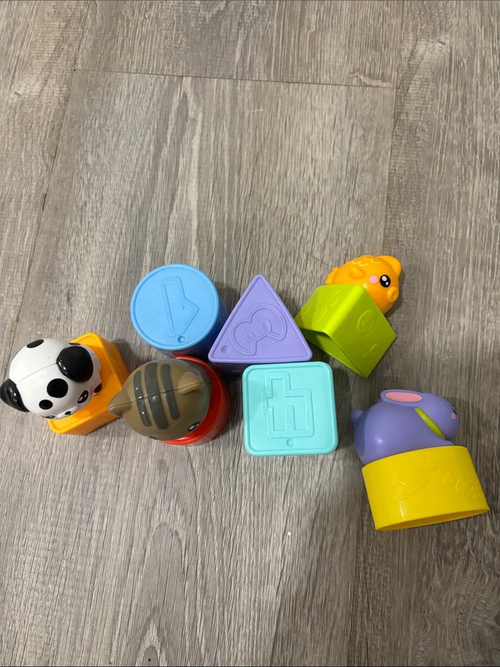 Kids Toy Pet Carrier Playset Shape Sorter - Light Blue